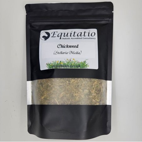 Chickweed chopped