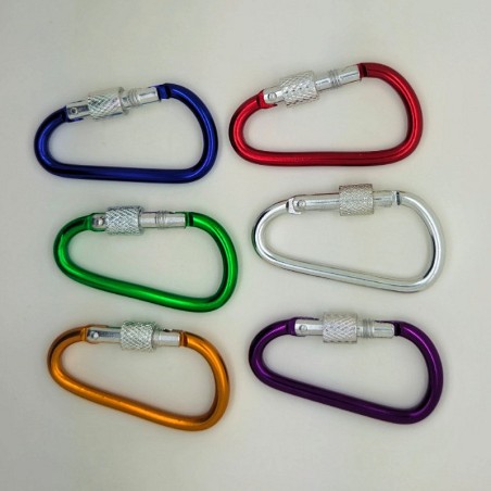 Small Locking Carabiner