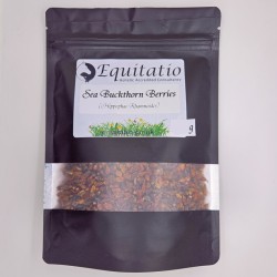 Sea buckthorn berries