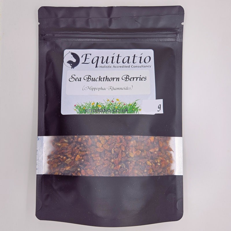 Sea buckthorn berries