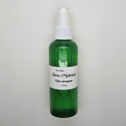 Gorse Hydrosol