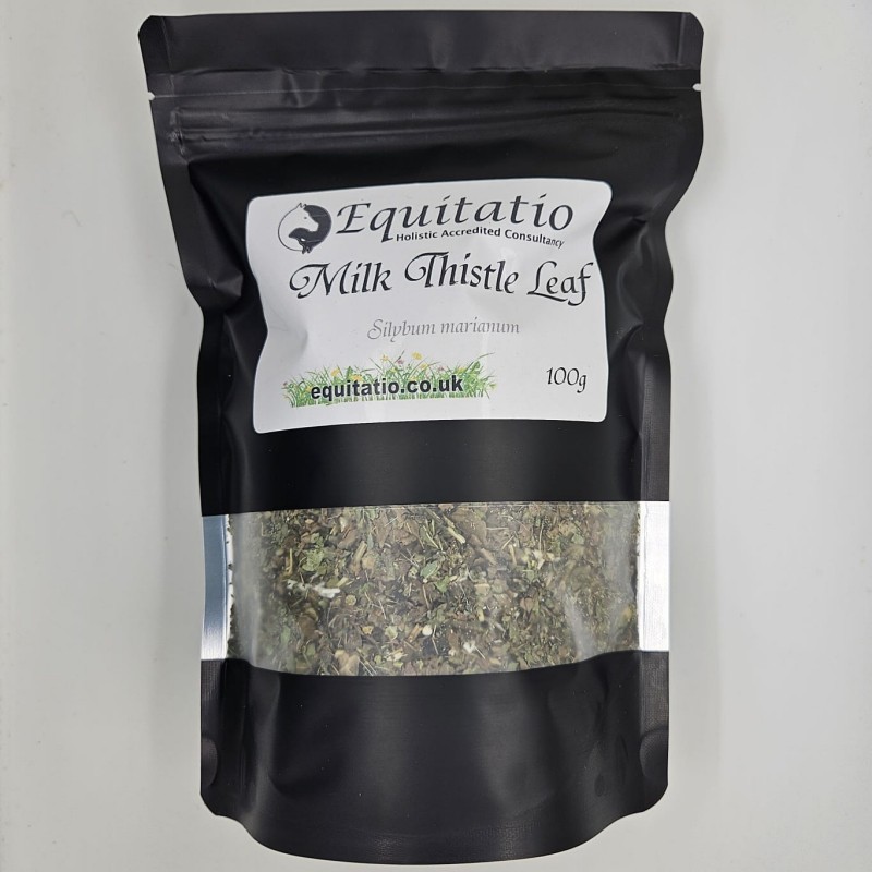 Milk Thistle Leaf