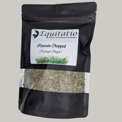 Plantain Herb Cut