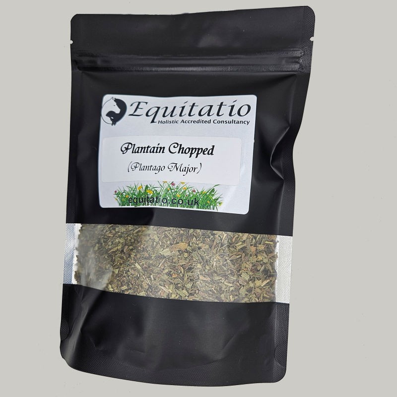 Plantain Herb Cut