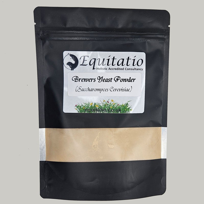 Brewers Yeast Powder